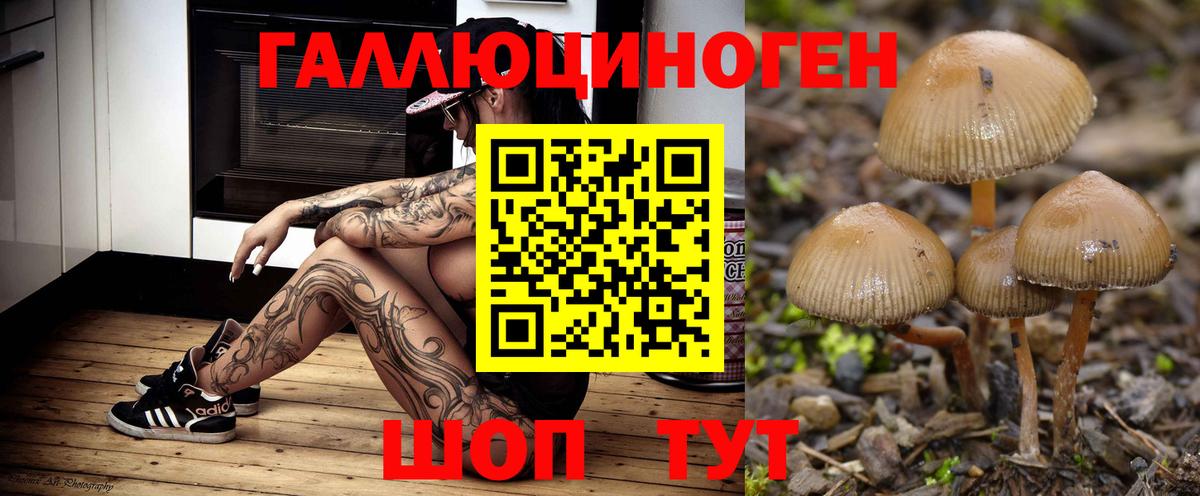 Кинель  Псилоцибиновые грибы Psilocybe  купить наркоту  Галлюциногенные грибы Cubensis  Вход с VPN 
